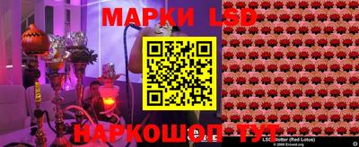 дмт Можга