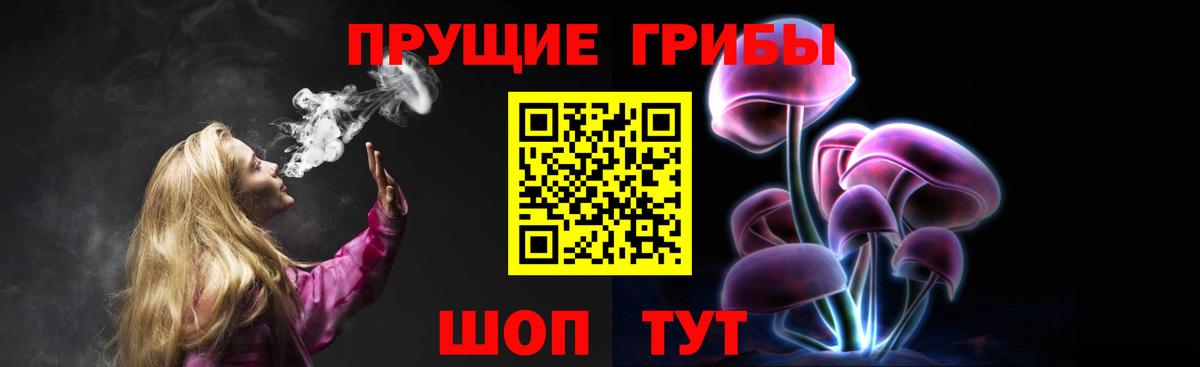Галлюциногенные грибы мицелий  Псилоцибиновые грибы Magic Shrooms  закладки  Хасавюрт  Вход с VPN 